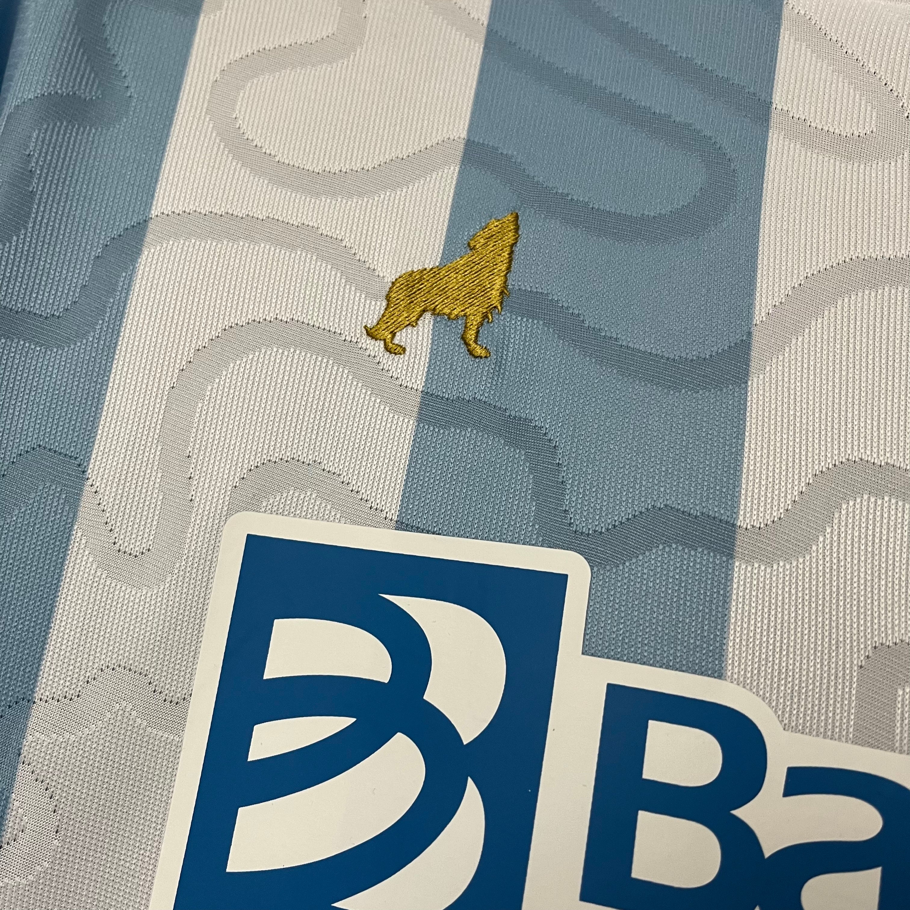 Camisa 25/26 Paysandu home - Torcedor