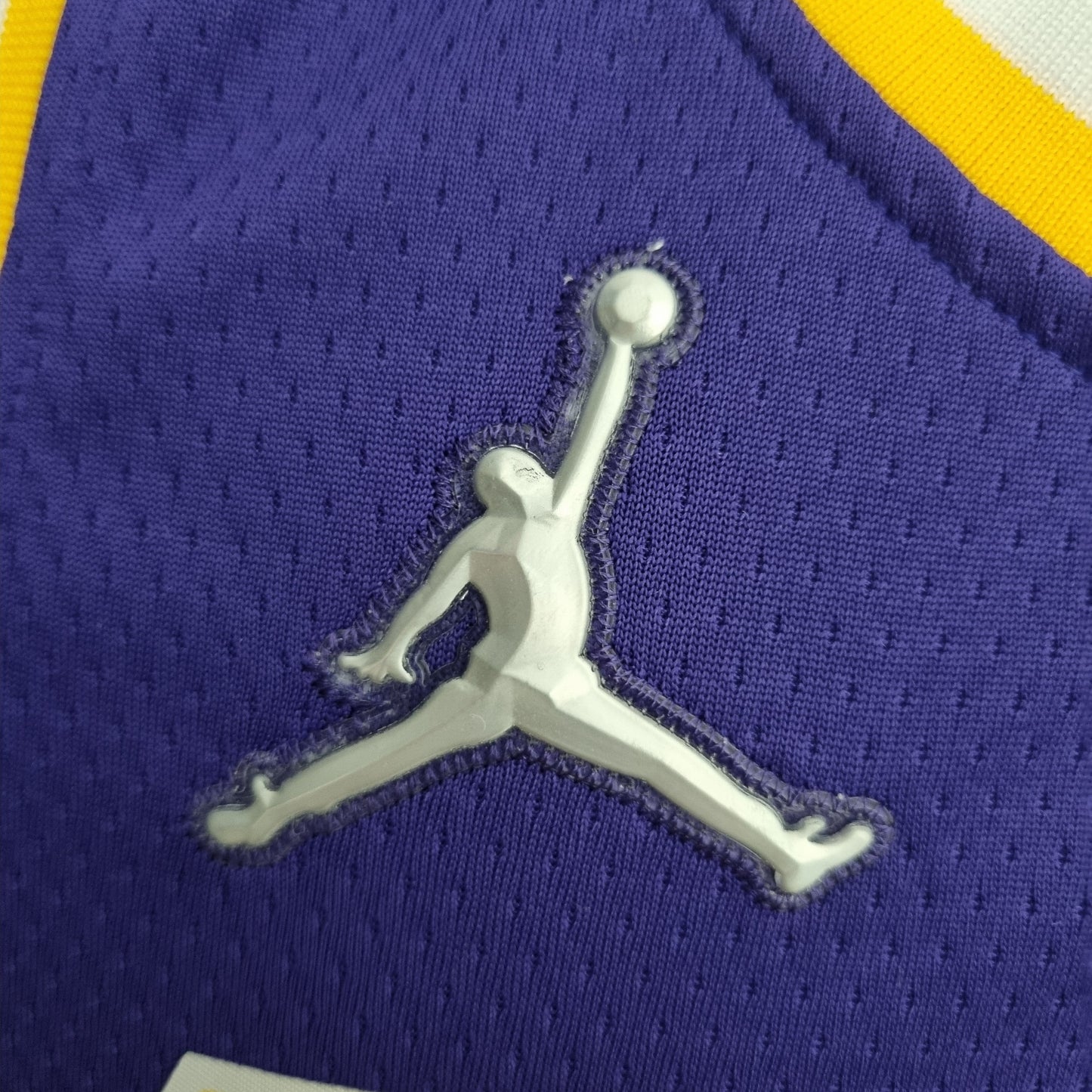 Camisa NBA Lakers #39 Howard Purple 75° Aniversário- 23/24