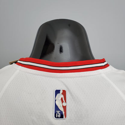 Regata Chicago Bulls Association Edition 17/23