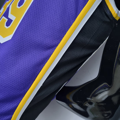 Camisa NBA Lakers #39 Howard Purple 75° Aniversário- 23/24