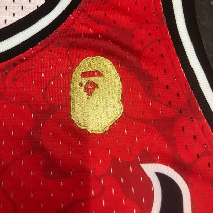 Regata Miami Heat Mitchell & Ness BAPE Edition 1993