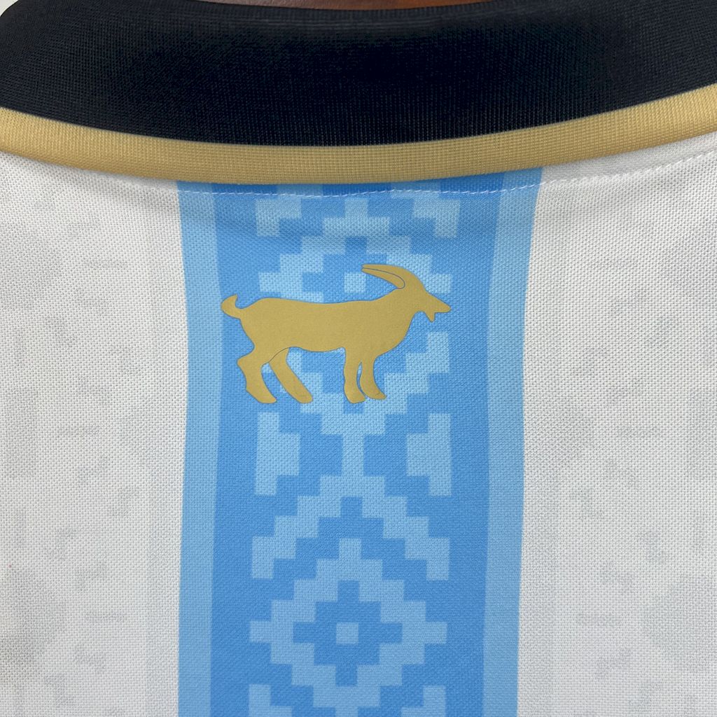 CAMISA DA ARGENTINA 24/25 Special Edition